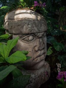 a single Olmec Colossal Head